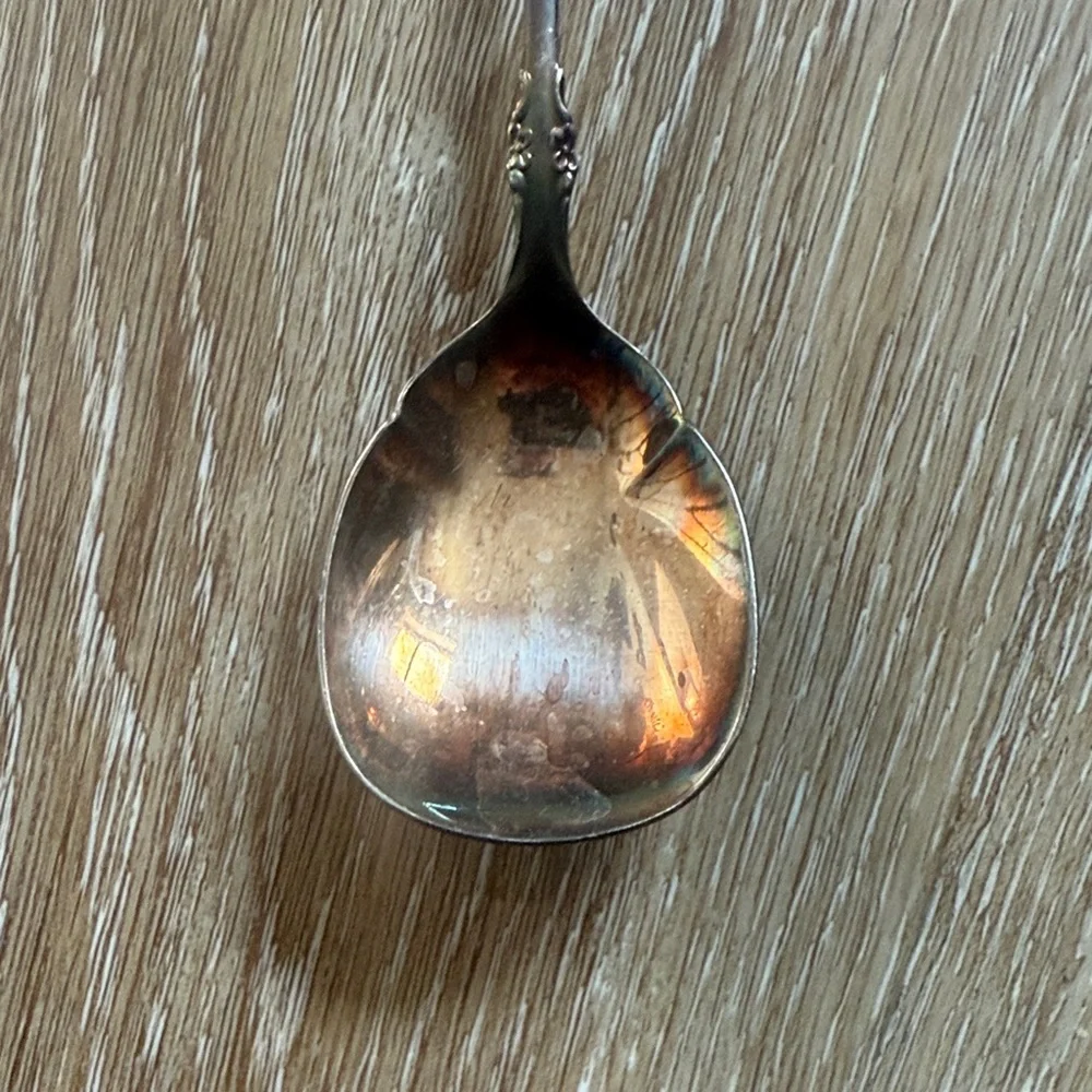 International deep silver Vintage Spoon patina